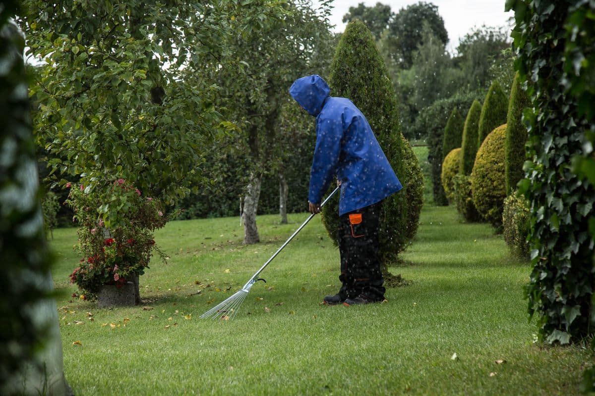 Garden clean-ups