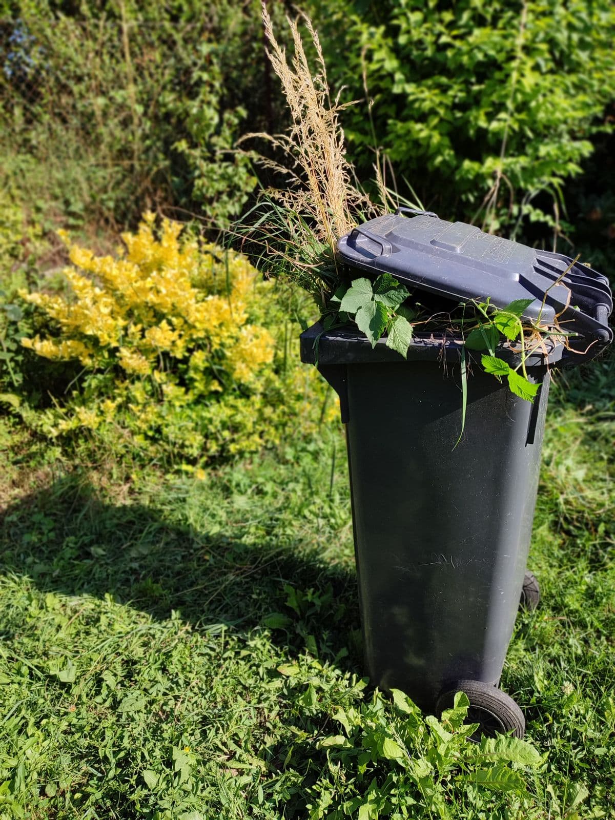Green-waste removal