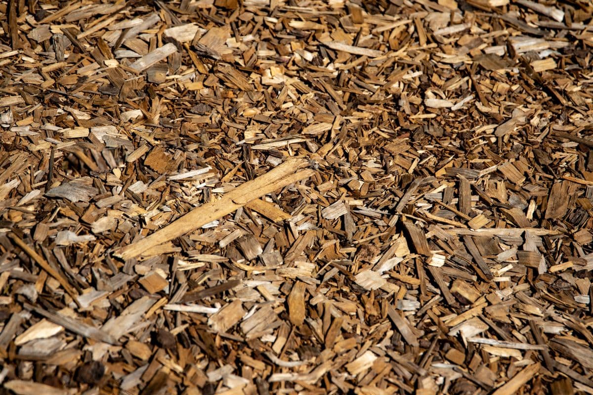 Mulching