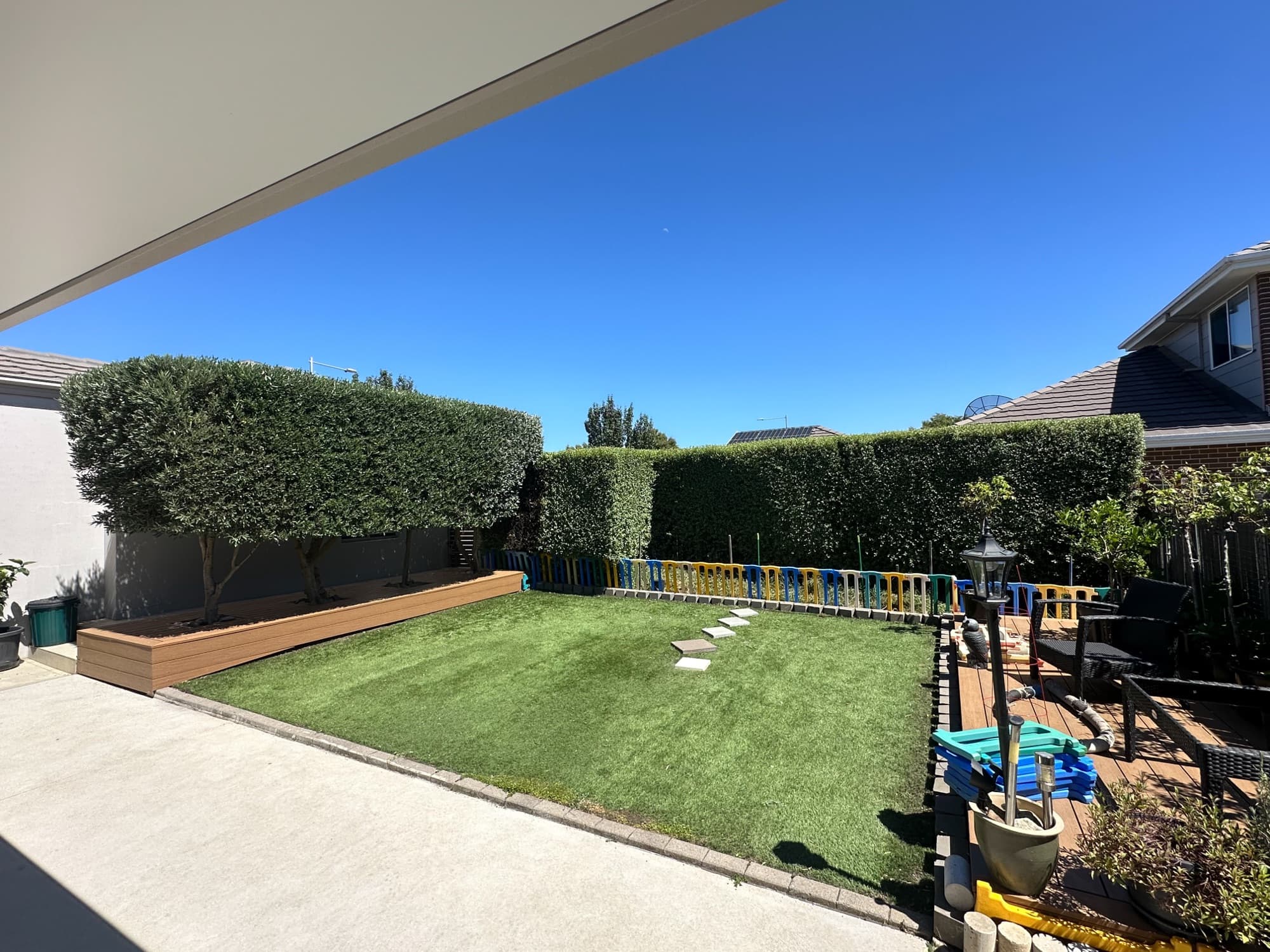 Compact backyard lawn framed by tall trimmed hedges