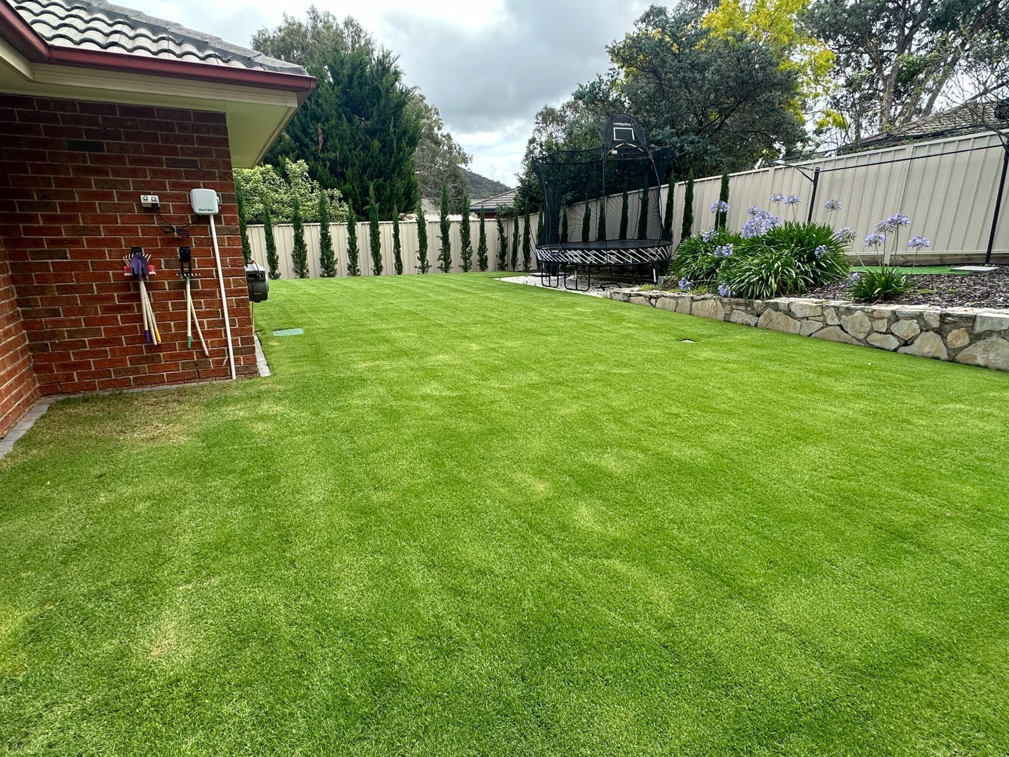 Freshly mown backyard lawn with a crisp striped finish